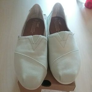 TOMS classic in mint canvas BNWT in box